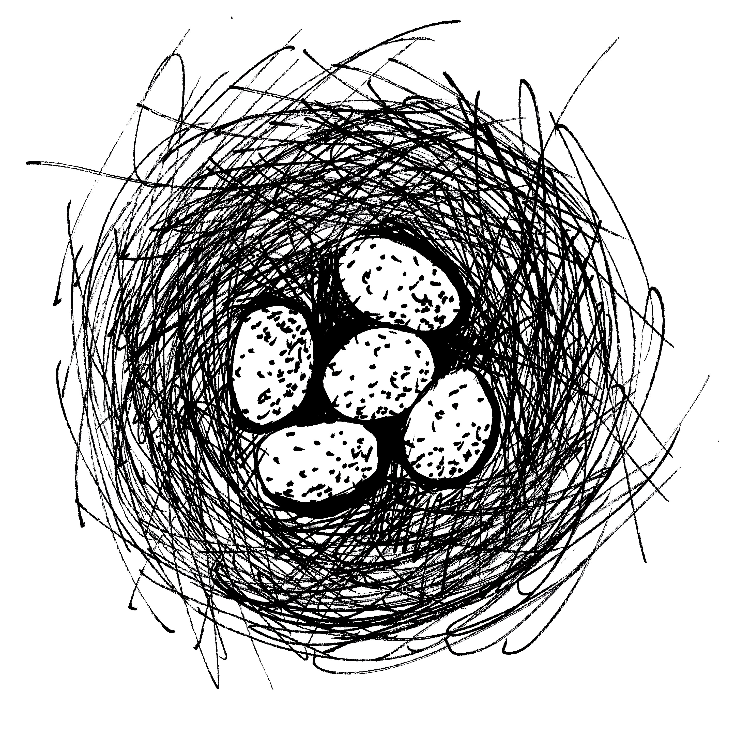 Nest