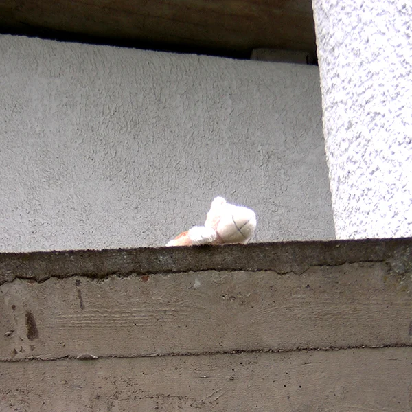 Mein Kuscheltier+ICH_02