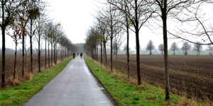 Potsdam2050_02
