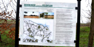 Potsdam2050_03
