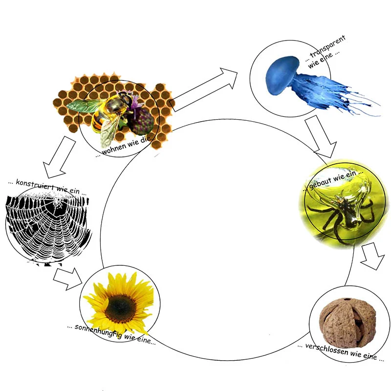 06_Workshop_Architektur auf der Spur der Natur [Kompatibilitäts
