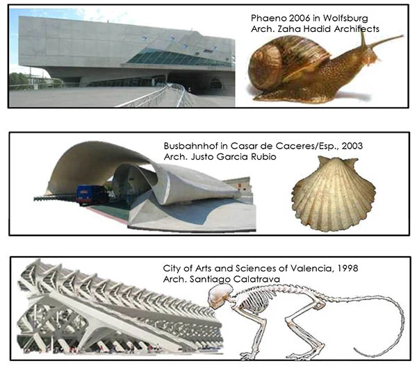 06_Workshop_Architektur auf der Spur der Natur [Kompatibilitäts