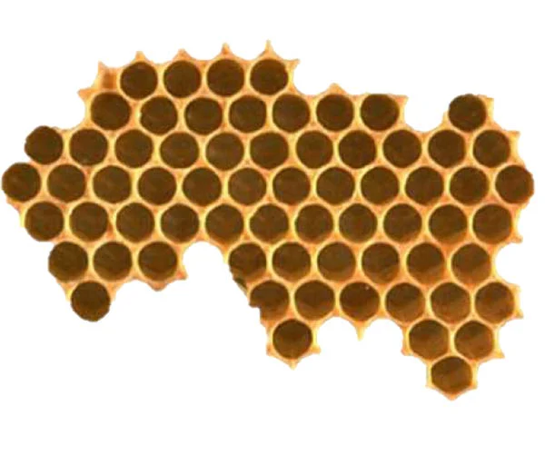 06_Workshop_Architektur auf der Spur der Natur [Kompatibilitäts